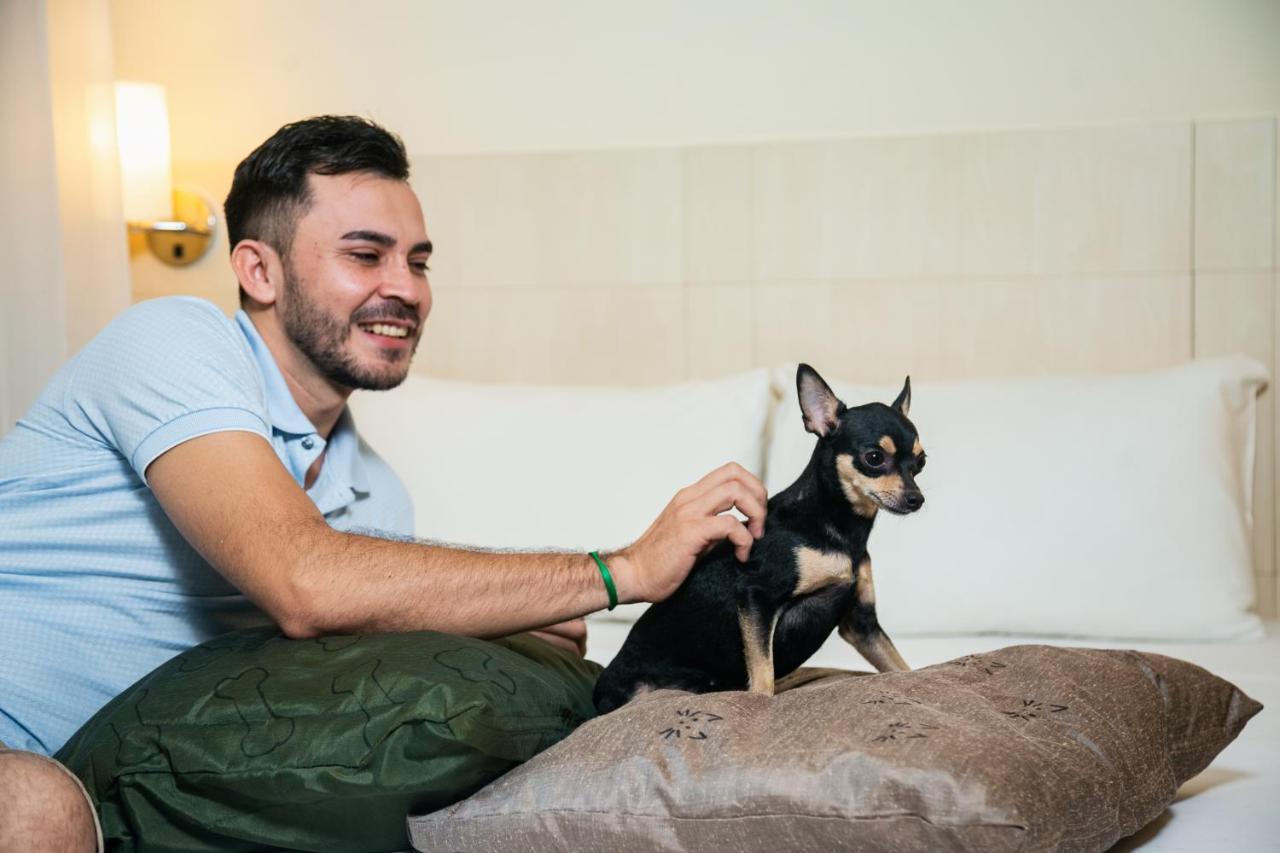 فندق Ibis Styles Belem Batista Campos المظهر الخارجي الصورة